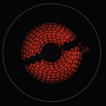 Electrolux LRR8438CK 300 Serie Vitrokeramische Kookplaat 80 cm